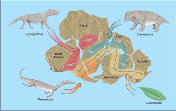 8 Shows Like The Continental You Must See