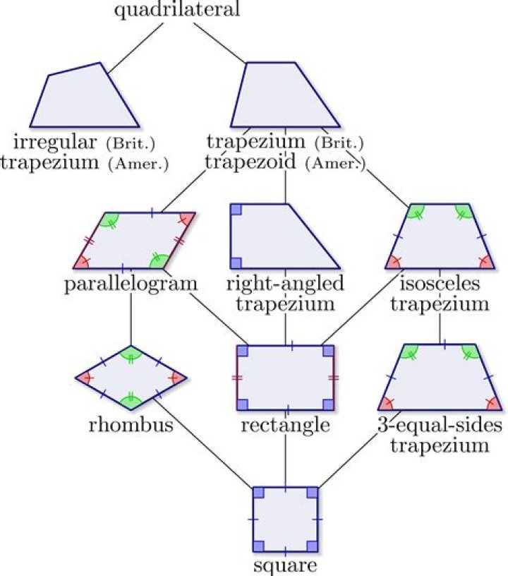 Are all quadrilaterals parallelograms True or false?
