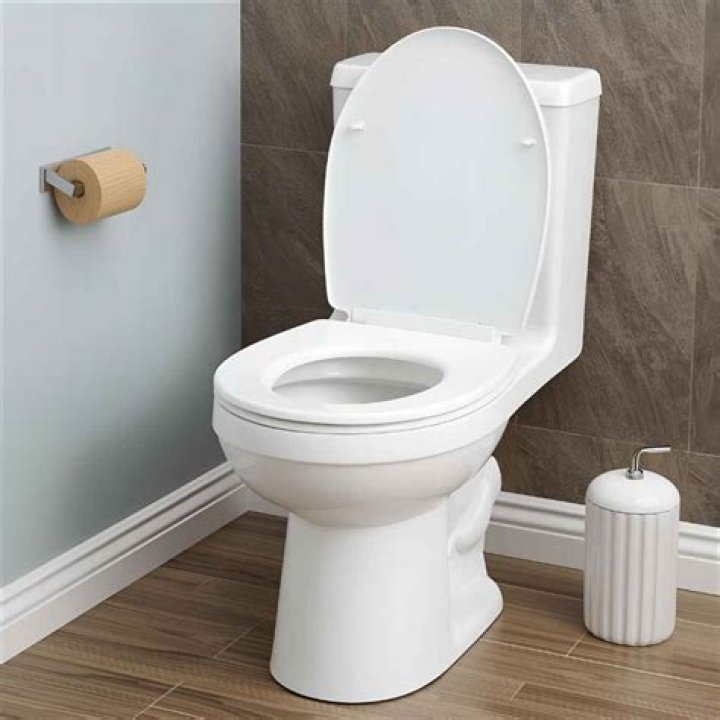 Are all round toilet seats the same size?