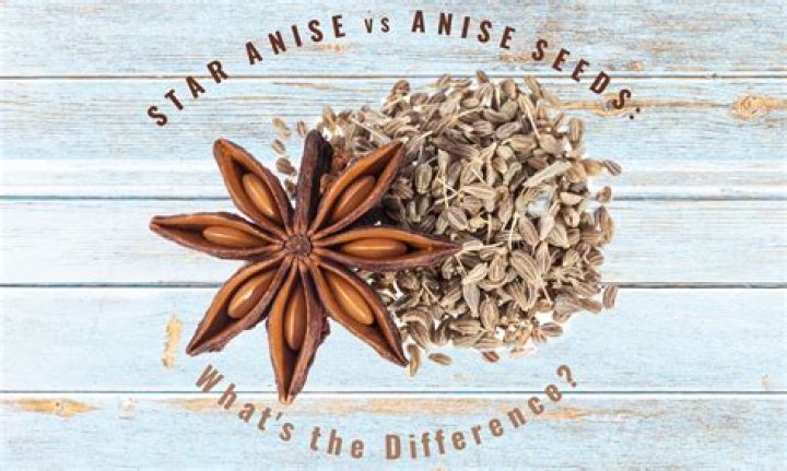 Are anise and star anise the same?