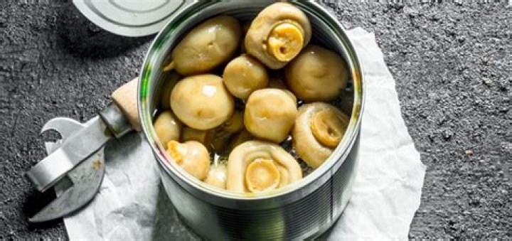 Are canned mushrooms real mushrooms?