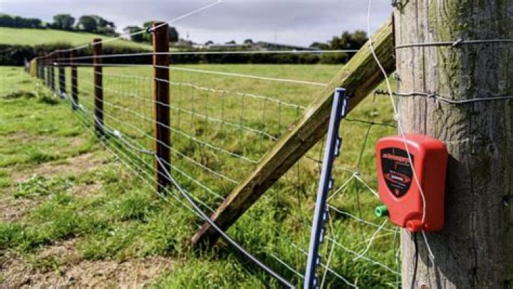 Are electric fences safe for chickens?