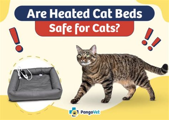 Are heated cat beds safe?