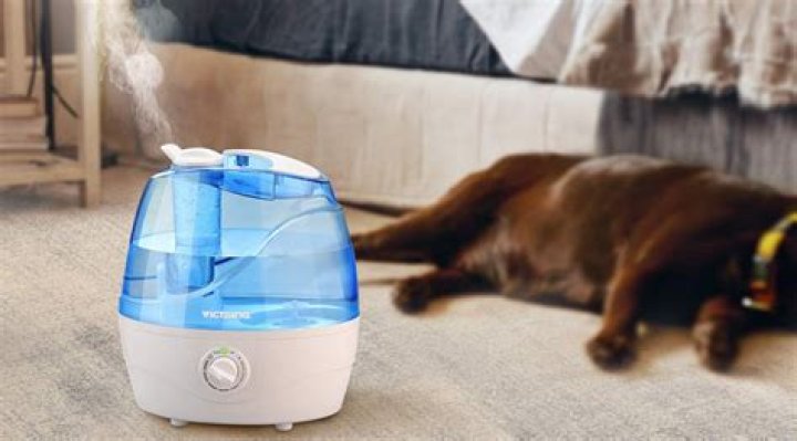 Are humidifiers harmful to dogs?
