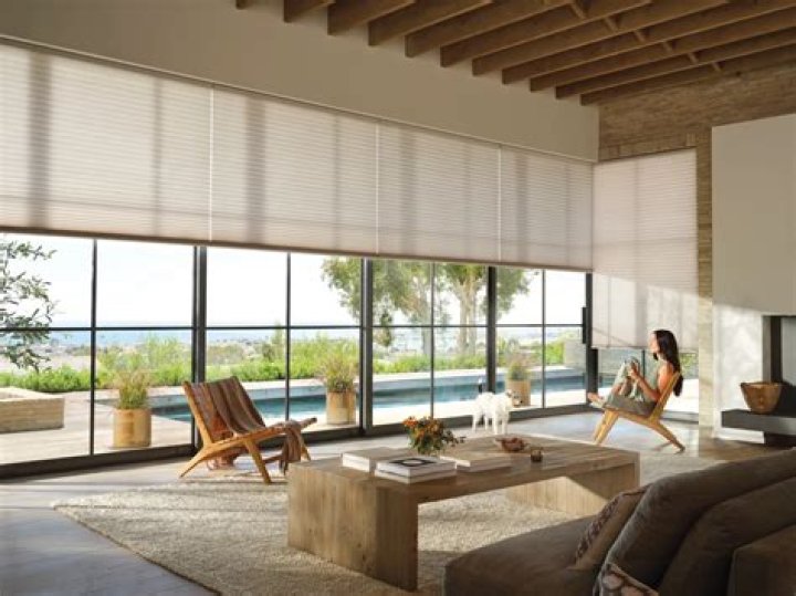 Are Hunter Douglas shades worth it?