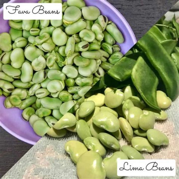 Are lima beans the same as soy beans?