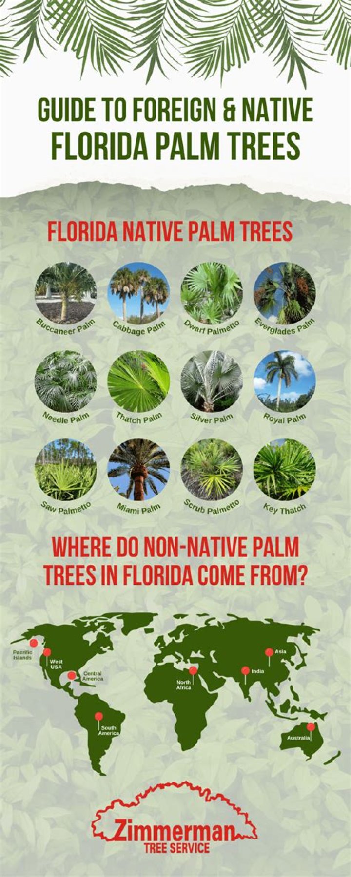 Are palm trees native to Canada?