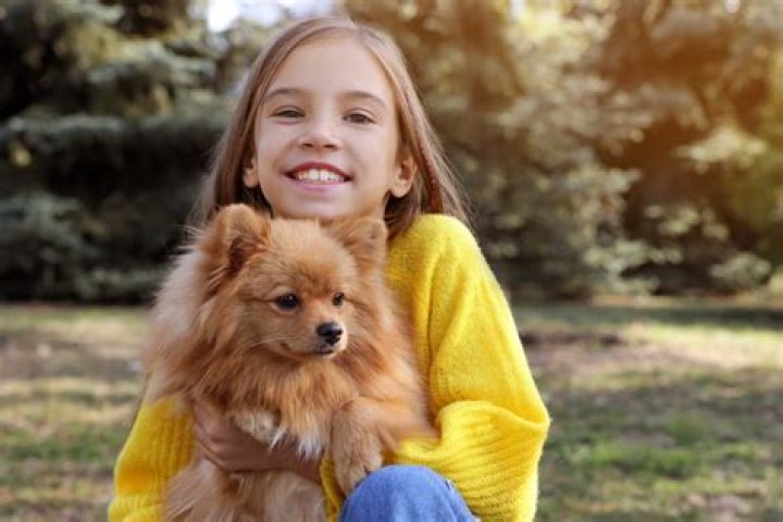 Are Pomeranians good with kids?