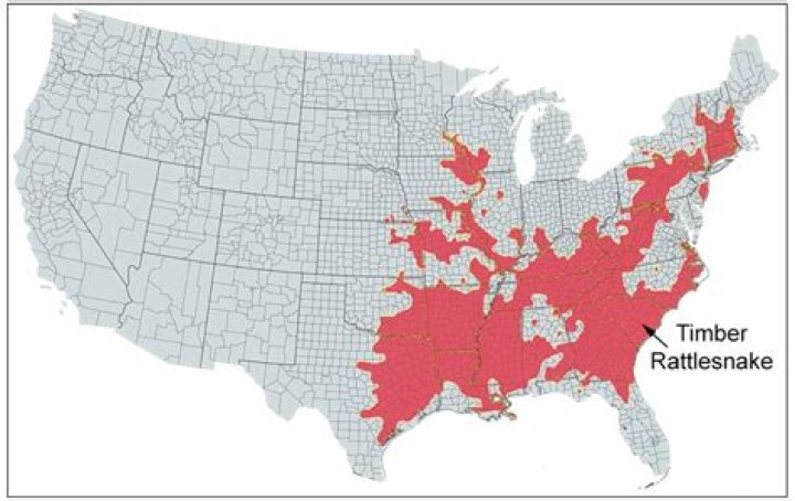 Are rattlesnakes protected in Mississippi?