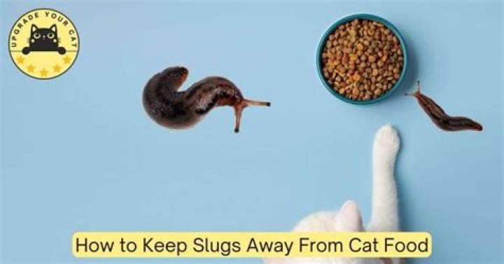 Are slugs harmful to cats?
