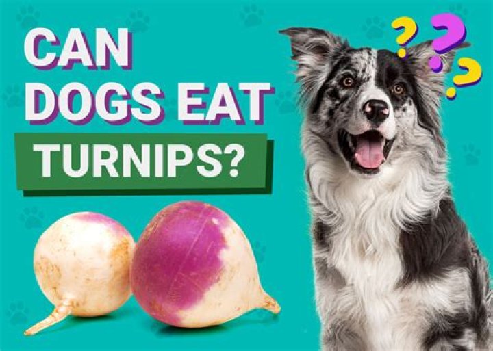 Are sprouted turnips safe to eat?