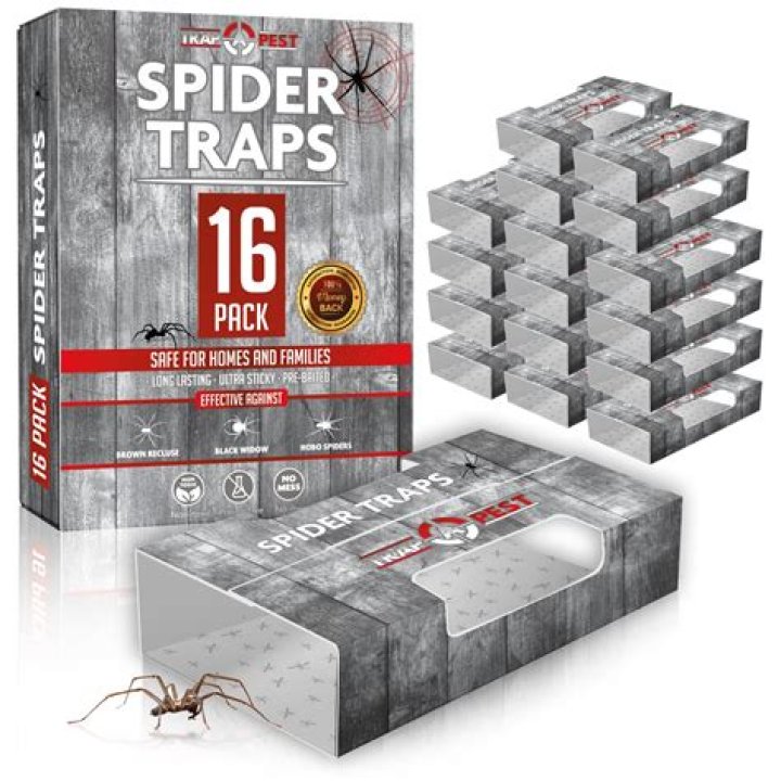 Are there spider traps?