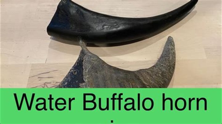 Are water buffalo horns digestible?