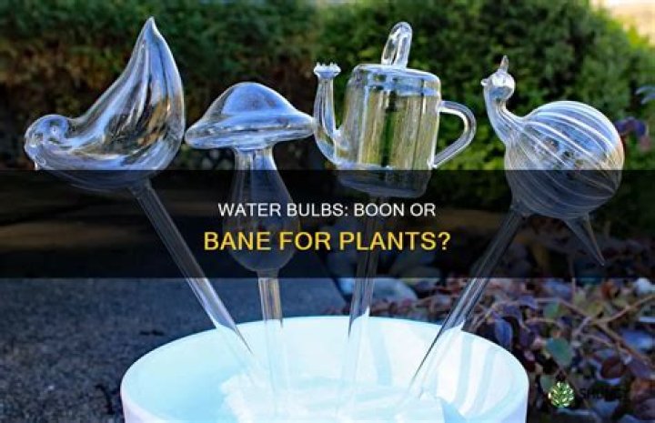Are water bulbs good for plants?