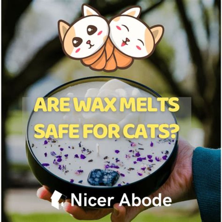 Are wax melts safe for cats?
