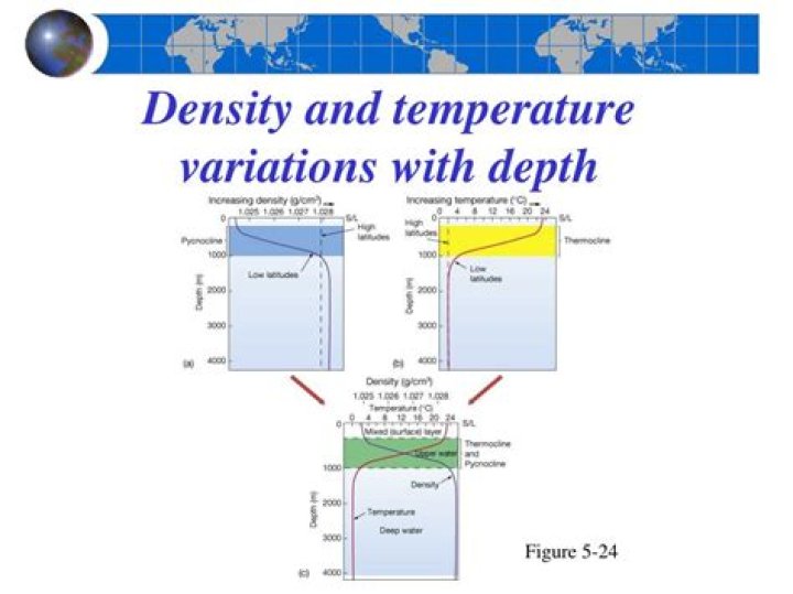 At what temperature is water most dense?