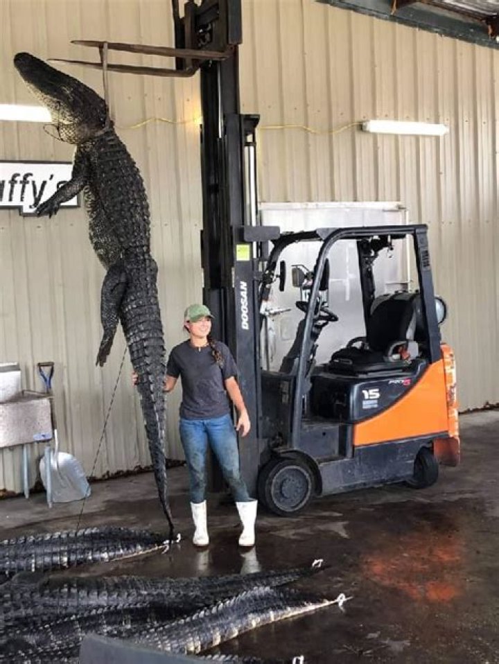 Ben Crane Height, Weight, Net Worth, Age, Birthday, Wikipedia, Who, Instagram, Biography