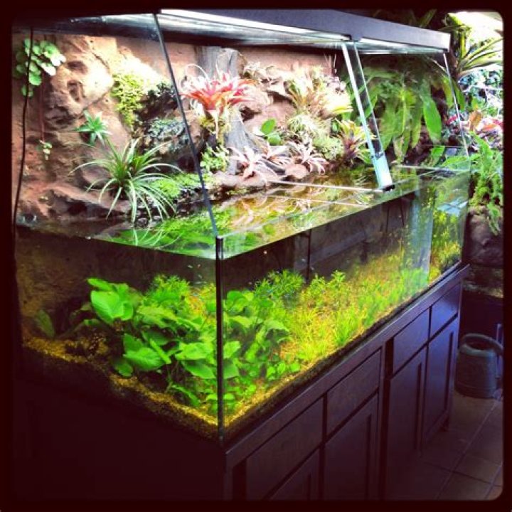 Can a terrarium be used as a fish tank?