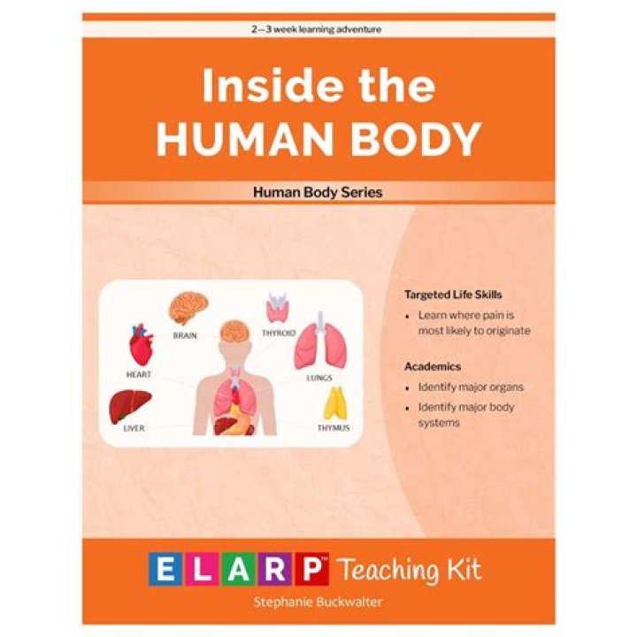 Can ants live inside the human body?