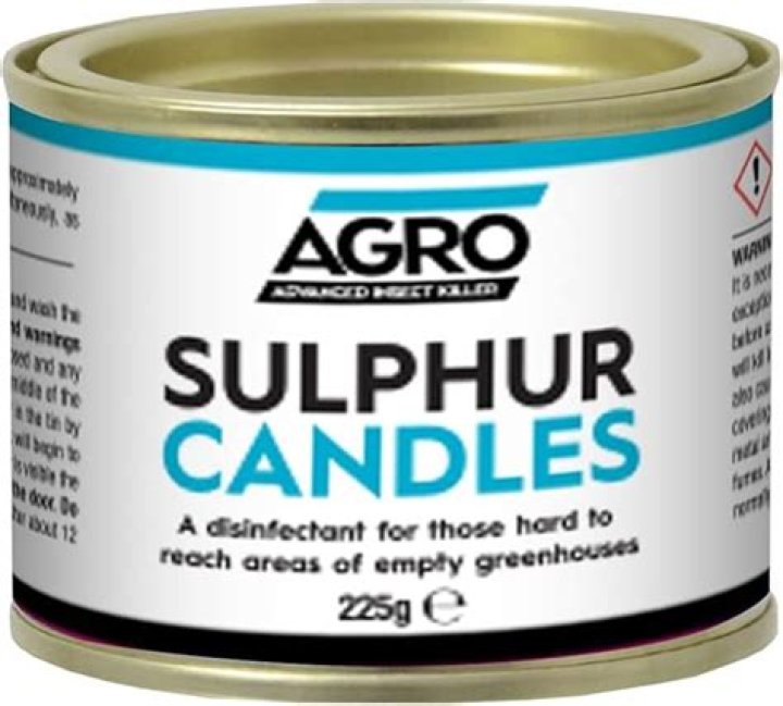 Can candles kill mold spores?