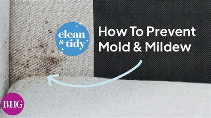 Can citric acid kill mold?