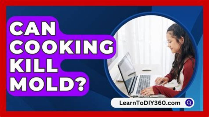 Can cooking kill mold?