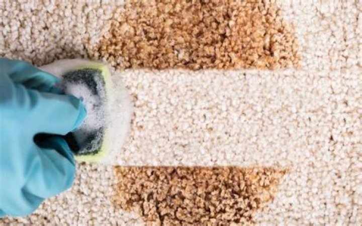 Can dirty carpets make you sick?