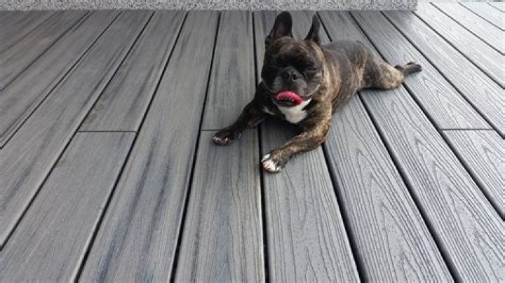 Can dogs scratch Trex decking?