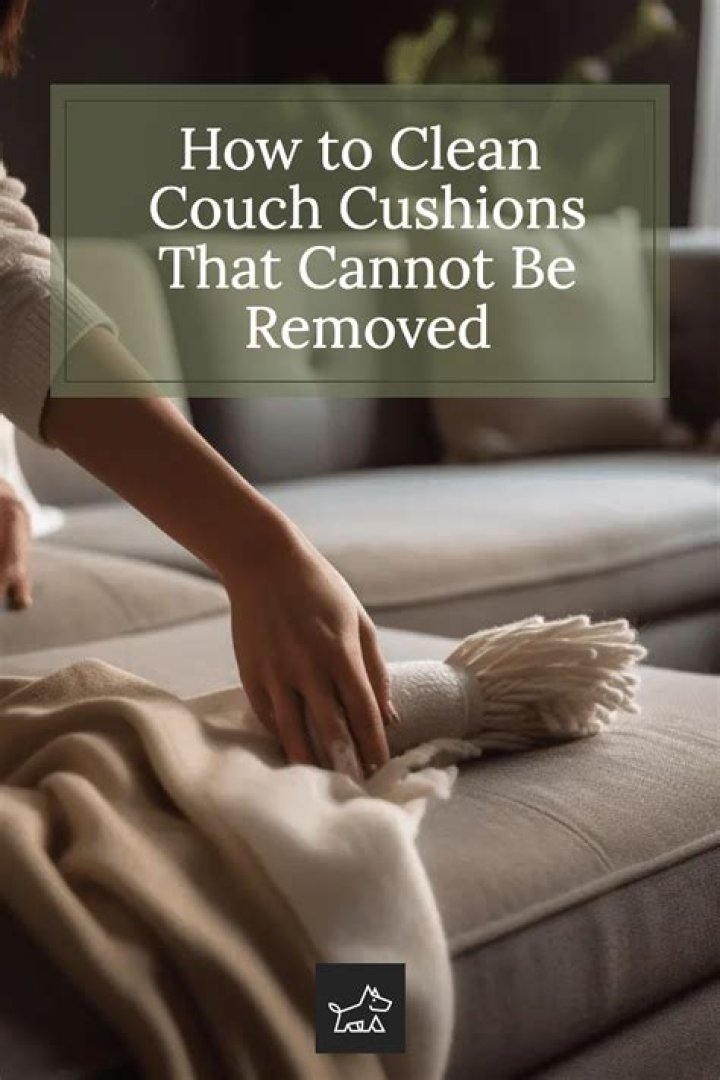 Can dry cleaners clean couch cushions?