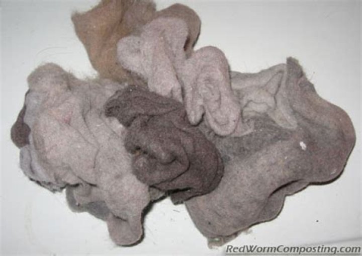 Can dryer lint be composted?