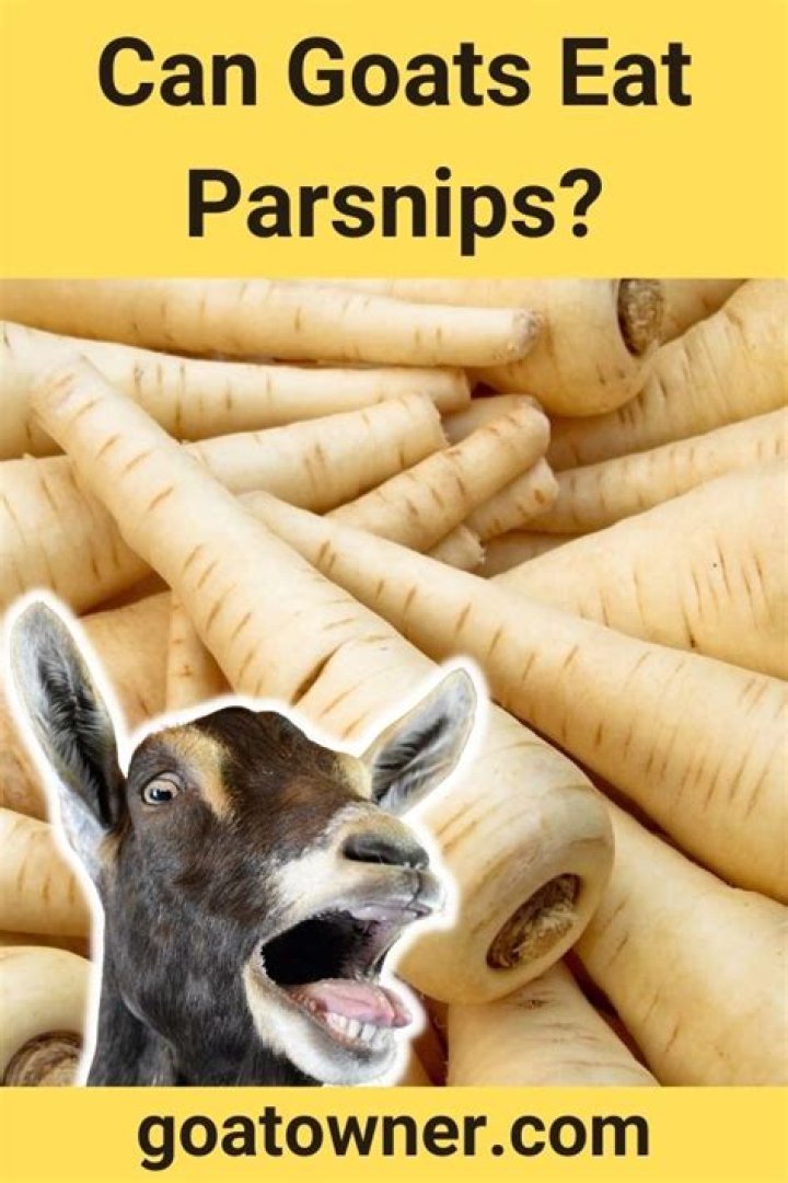 Can goats eat parsnips?