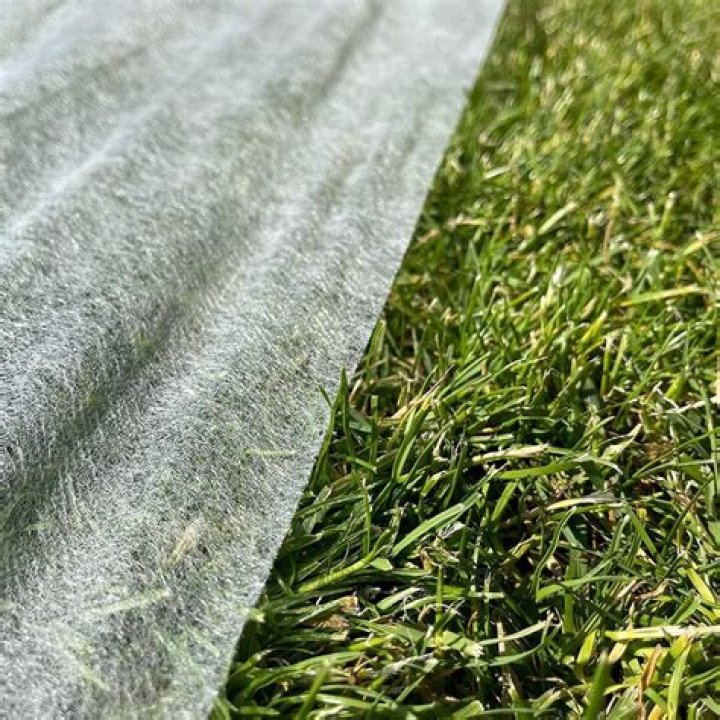 Can I cover new grass seed with plastic?