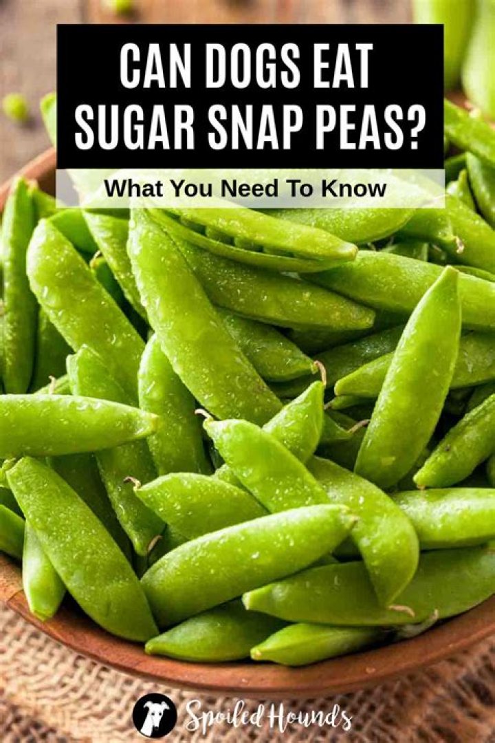 Can I eat sugar snap peas on keto?