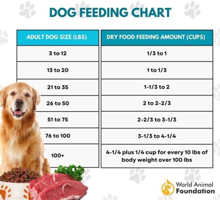 Can I feed my dog stuffing?