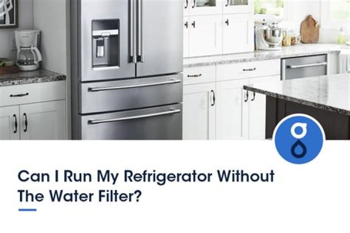 Can I run my refrigerator without the water filter?