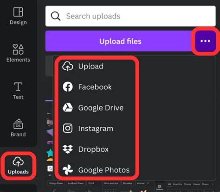 Can I upload my own image to Evite?