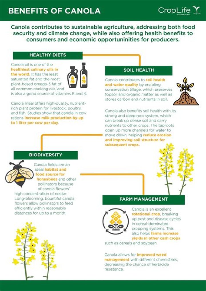 Can I use canola oil past expiration date?
