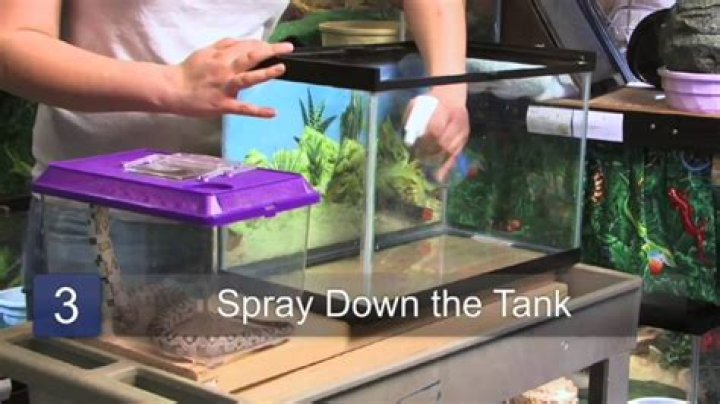 Can I use vinegar to clean snake cage?