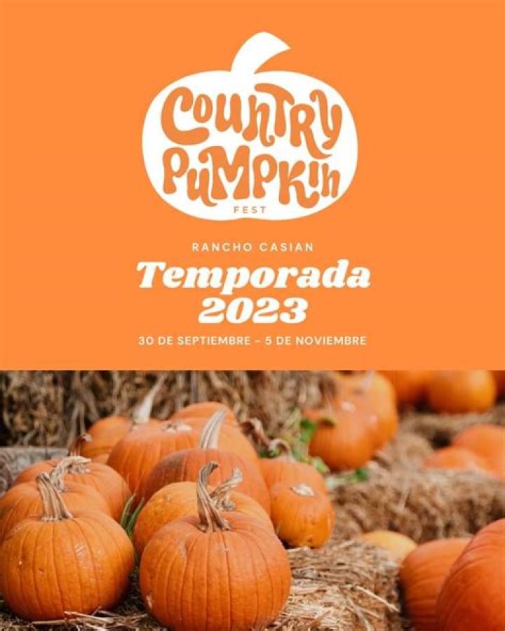 Can my pumpkin catch fire?