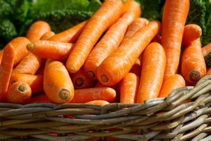Can old carrots make you sick?