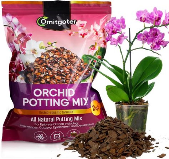 Can orchid potting mix be used for succulents?