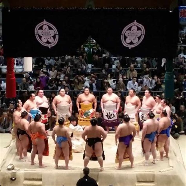 Can sumo wrestlers marry?