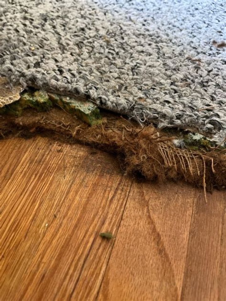 Can there be asbestos in carpet underlay?