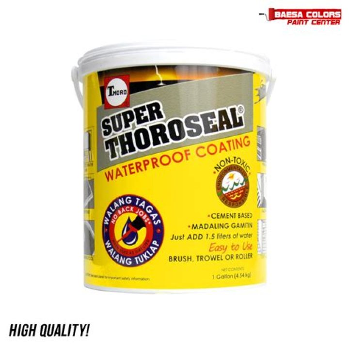 Can Thoroseal be applied over paint?