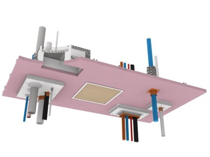 Can Wasps chew through plasterboard?