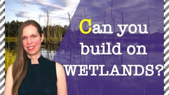 Can you build on wetlands in NJ?