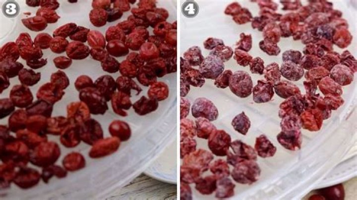 Can you dehydrate cranberries?