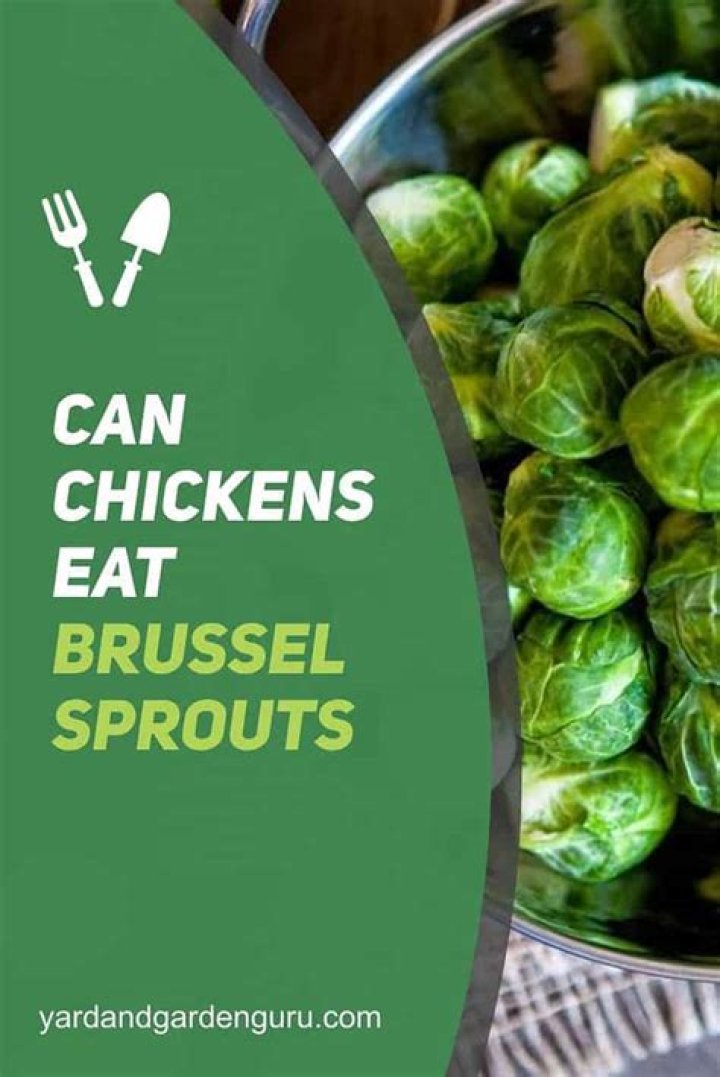 Can you eat brussel sprout stock?