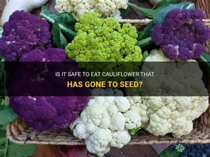 Can you eat cauliflower gone to seed?