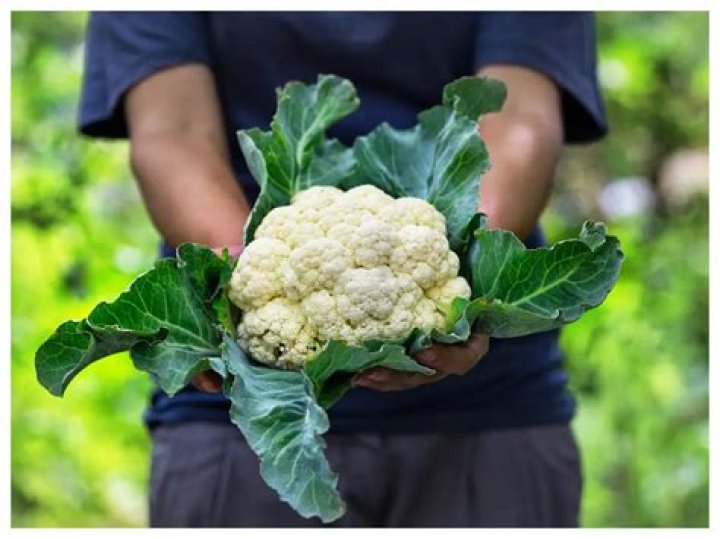 Can you eat leaves from cauliflower?